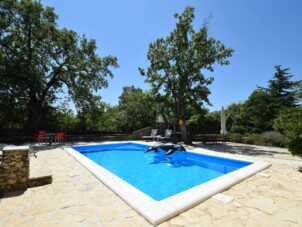 Family friendly house with a swimming pool Sveti Vid
